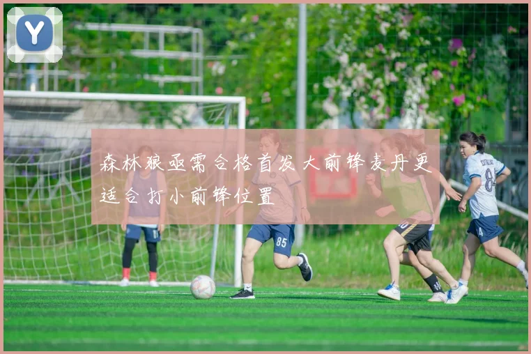 森林狼亟需合格首发大前锋麦丹更适合打小前锋位置