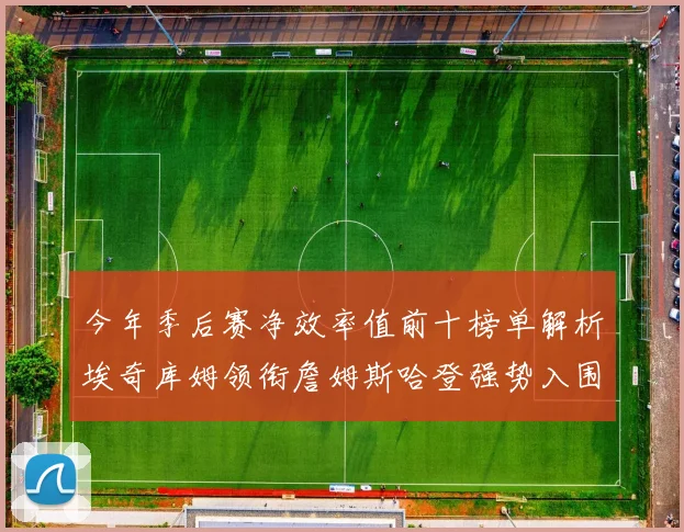今年季后赛净效率值前十榜单解析埃奇库姆领衔詹姆斯哈登强势入围