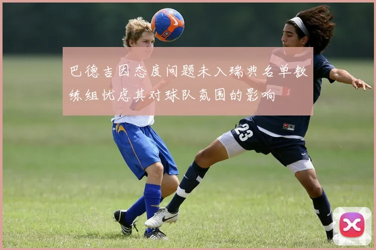 巴德吉因态度问题未入瑞典名单教练组忧虑其对球队氛围的影响