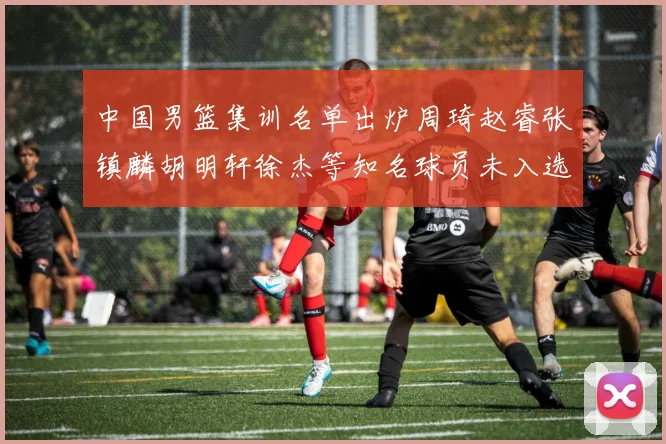 中国男篮集训名单出炉周琦赵睿张镇麟胡明轩徐杰等知名球员未入选